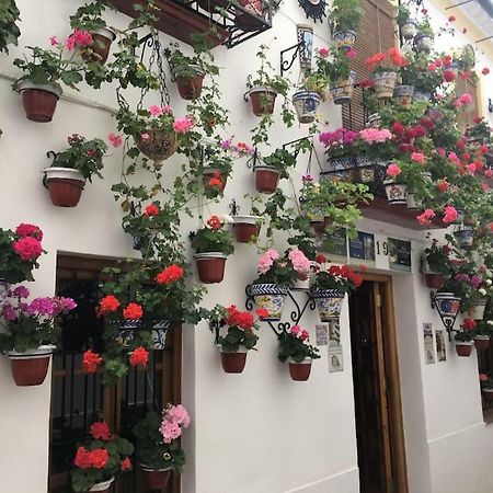 Apartamento El Rincon De La Verdad Кордова Экстерьер фото