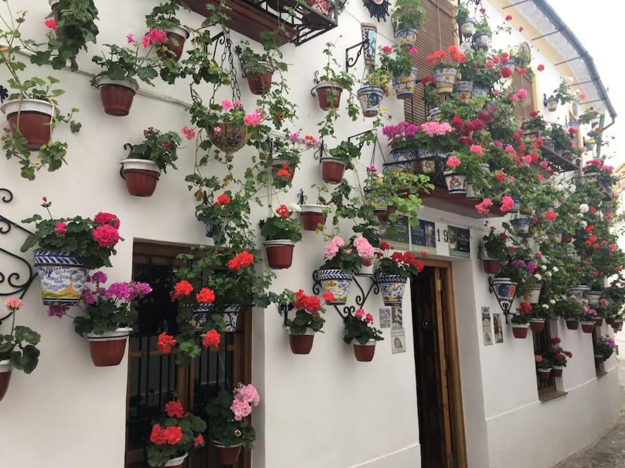 Apartamento El Rincon De La Verdad Кордова Экстерьер фото